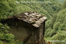 Taşköprü yanı Güzelyurt köyü Borçka Artvin