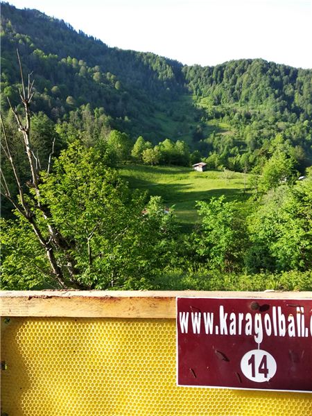 Karagöl Balı – 2019 Sezonu