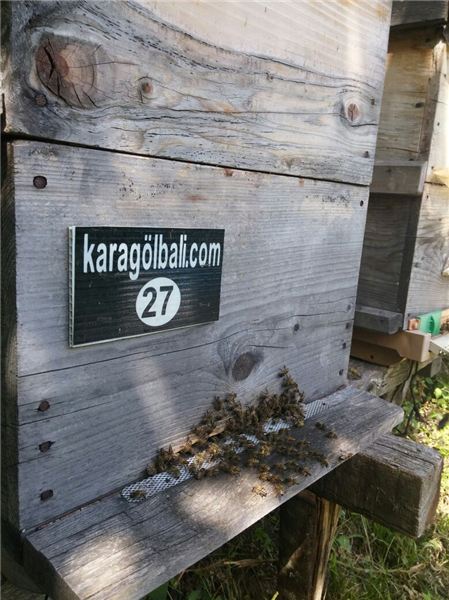 Karagöl Balı – Arılıklarımız