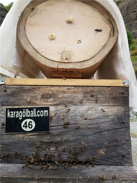 Karagöl Balı – Arılıklarımız
