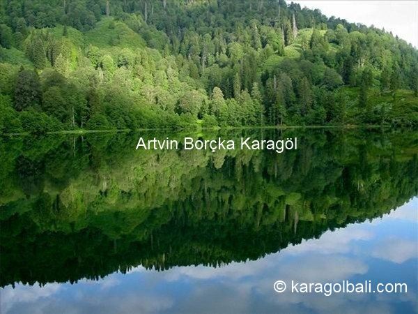 Karagöl Balı – Artvin Borçka