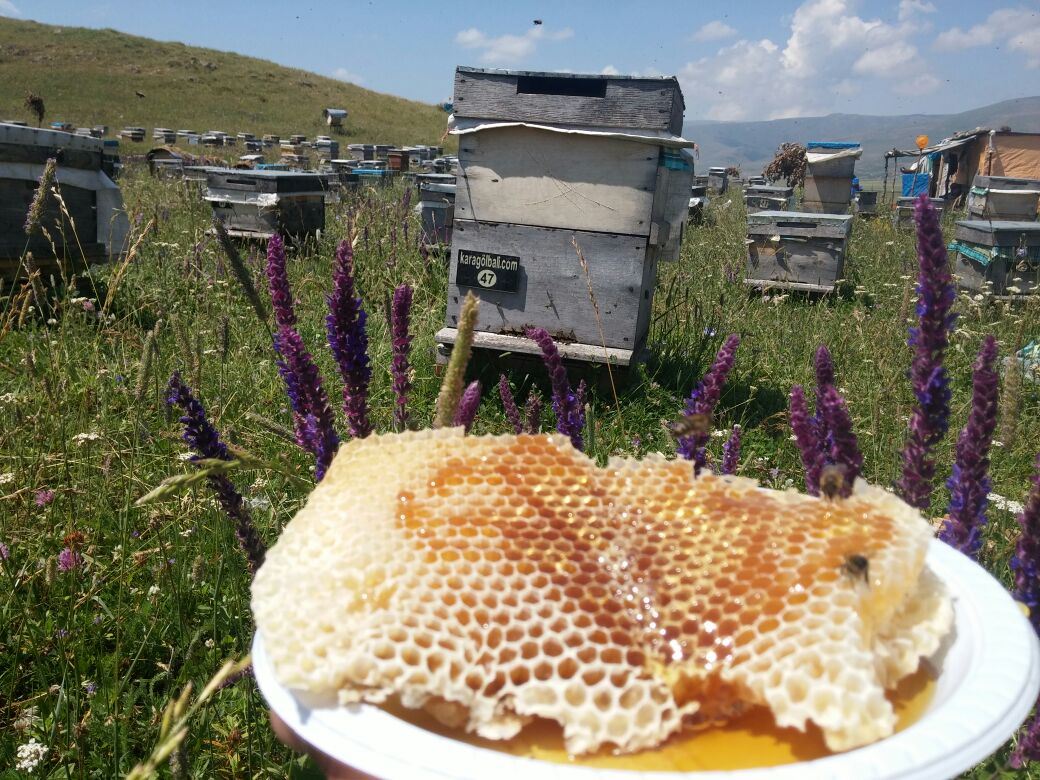 Yayla Balı (Kahvaltılık)